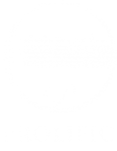 prolificorg-footer-logo